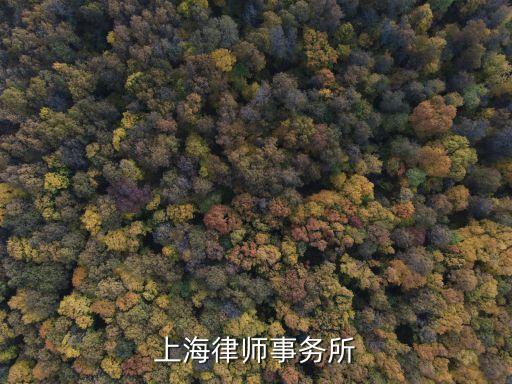 上海市有國營背景的律師事務(wù)所，上海律師事務(wù)所