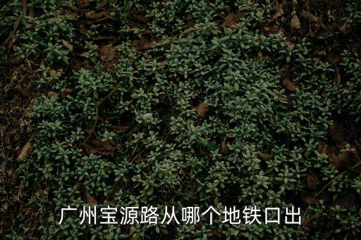 廣州恩寧路寶源路，廣州寶源路從哪個(gè)地鐵口出