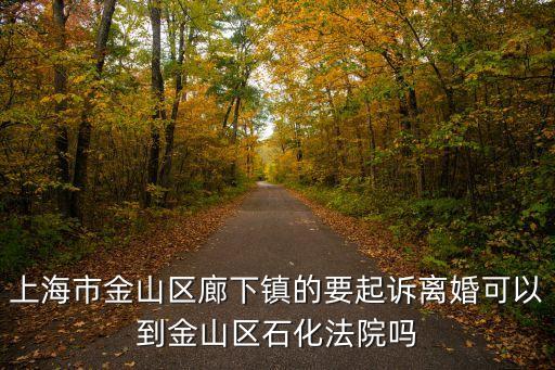 顏娉婷上海市金山法院，老婆是外地我是本地的老婆跑了大概2年我想離婚去法院起訴