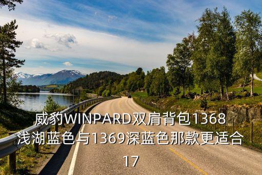 威豹WINPARD雙肩背包1368淺湖藍(lán)色與1369深藍(lán)色那款更適合17