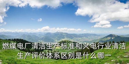 火電行業(yè)，想做一下中國火電行業(yè)的市場(chǎng)調(diào)研不知道哪家公司比較專業(yè)啊