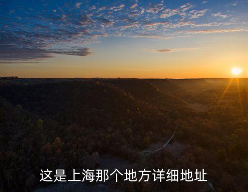 上海市望志路位置，這是上海那個地方詳細地址
