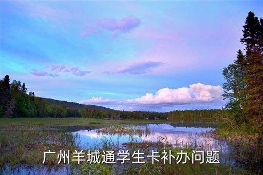 廣州補辦羊城通學生卡要多長時間，在學校統一辦理羊城通學生卡要多長的時間