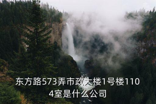 東方路573弄市政大樓1號樓1104室是什么公司