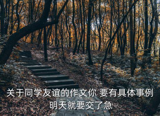 關(guān)于同學(xué)的作文，我的同學(xué)寫外貌作文500字