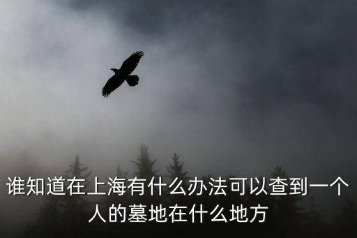 上海市區(qū)公墓查詢，誰知道在上海有什么辦法可以查到一個(gè)人的墓地在什么地方