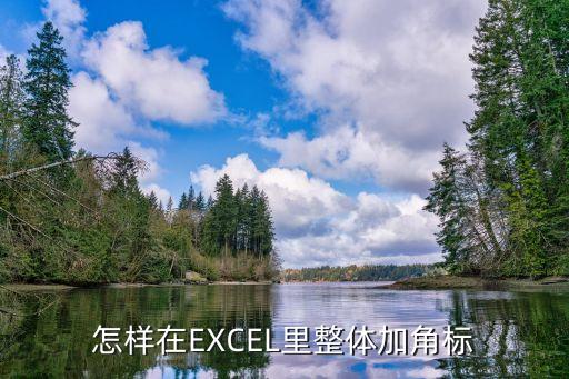 怎樣在EXCEL里整體加角標