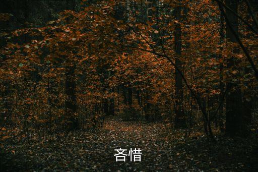 吝惜