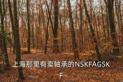 上海那里有賣軸承的NSKFAGSKF