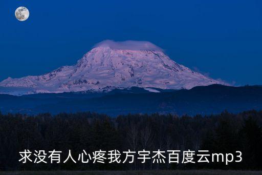 求沒有人心疼我方宇杰百度云mp3