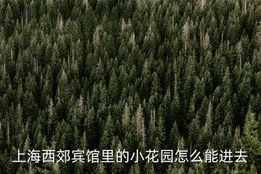 上海市區小花園，上海市區有什么漂亮的園林嗎