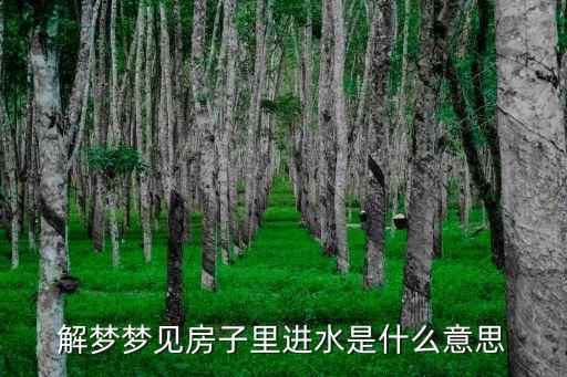解夢夢見房子里進水是什么意思