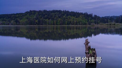 預約掛號上海市，上海醫院網上掛號