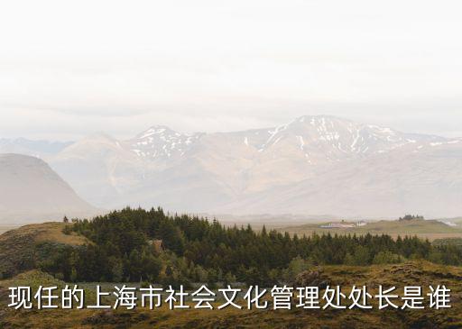 上海市科級干部公示，現任的上海市社會文化管理處處長是誰