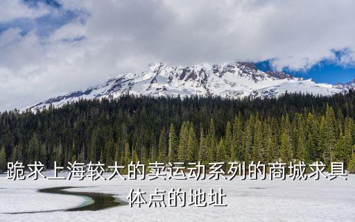 跪求上海較大的賣運動系列的商城求具體點的地址