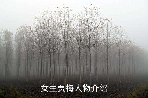 女生賈梅，女生賈梅人物介紹