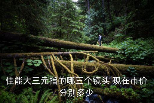 佳能大三元鏡頭，佳能大三元指的哪三個鏡頭 現在市價分別多少