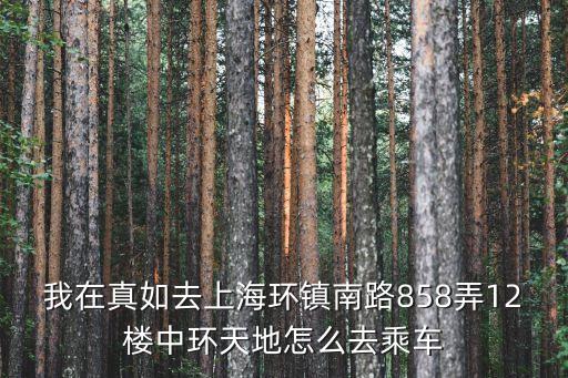 我在真如去上海環鎮南路858弄12樓中環天地怎么去乘車