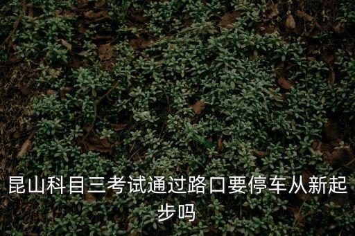 上海市小昆山科三2號(hào)線視頻，成功駕校科三視頻考試2號(hào)線邙山