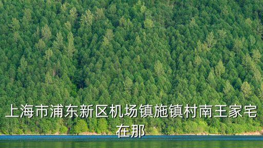 王家宅上海市浦東新區，上海市浦東新區機場鎮施鎮村南王家宅在那