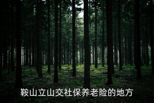 鞍山立山交社保養(yǎng)老險的地方