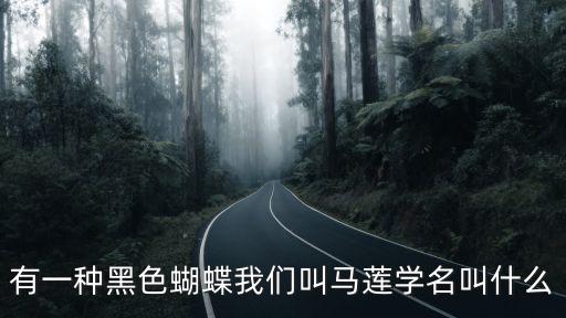 有一種黑色蝴蝶我們叫馬蓮學(xué)名叫什么