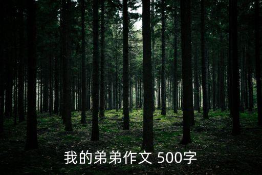我的弟弟，我的弟弟作文500字