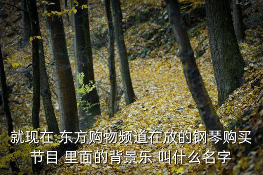 就現在 東方購物頻道在放的鋼琴購買節目 里面的背景樂 叫什么名字