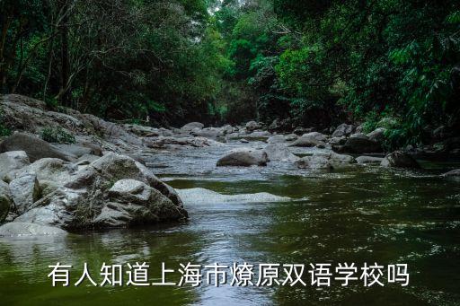 上海市燎原國際雙語5b班，有人知道上海市燎原雙語學校嗎