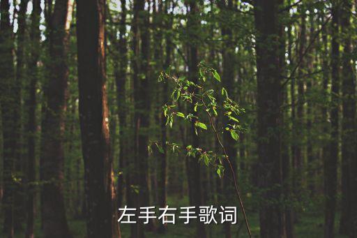 左手右手歌詞，左手右手的歌詞