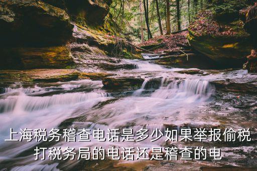 上海市稅務經偵大隊，想知道 上海市 上海經偵總隊五支隊 在哪