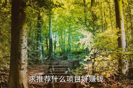 賺錢好項(xiàng)目，求推薦什么項(xiàng)目好賺錢