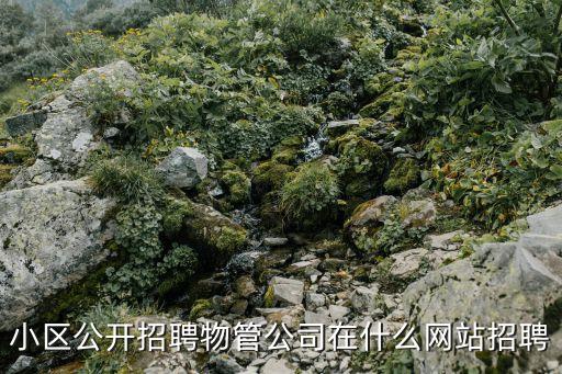 小區(qū)公開招聘物管公司在什么網(wǎng)站招聘