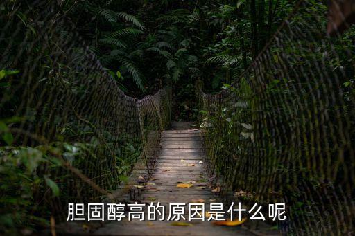 膽固醇高的原因是什么呢