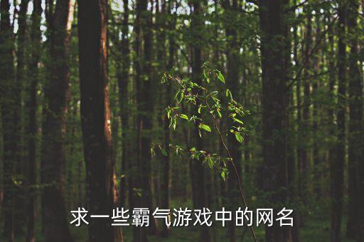 霸氣的網(wǎng)游名，求個(gè)霸氣的網(wǎng)游游戲名字血牛