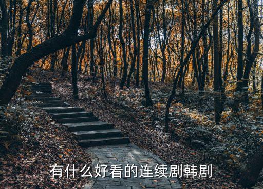 有什么好看的連續劇韓劇