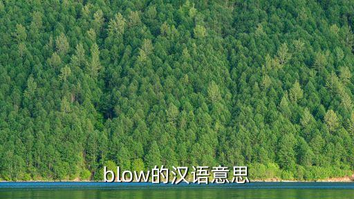 blow，BLOW在英語中是什么意思