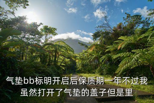 氣墊保質期，hiface氣墊保質期多久
