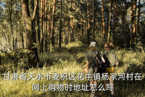 家河村，甘肅省天水市麥積區花牛鎮楊家河村在網上購物時地址怎么寫
