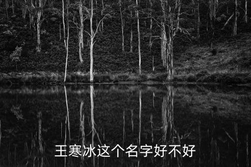 王寒冰，請回答至少3對聯盟情侶