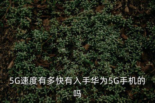 5g網(wǎng)速實(shí)測(cè)，怎樣測(cè)試無(wú)線路由器的24G5G wifi速度