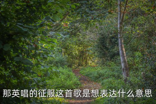 那英唱的征服這首歌是想表達(dá)什么意思