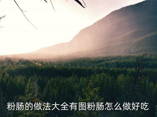 粉腸怎么做好吃，粉腸的做法大全有圖粉腸怎么做好吃