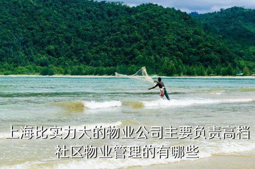 上海市住宅區域物業，上海居民交納的房屋物業管理費是怎么處理使用的什么設施維修應由