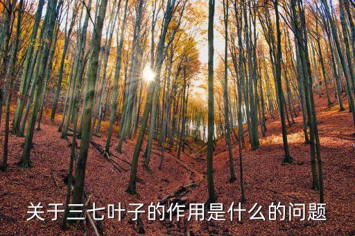 三七葉子，田七的葉子能吃嗎