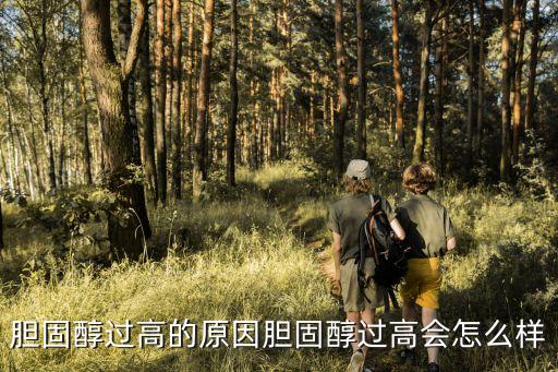 膽固醇高的原因和危害，膽固醇過高的原因膽固醇過高會怎么樣