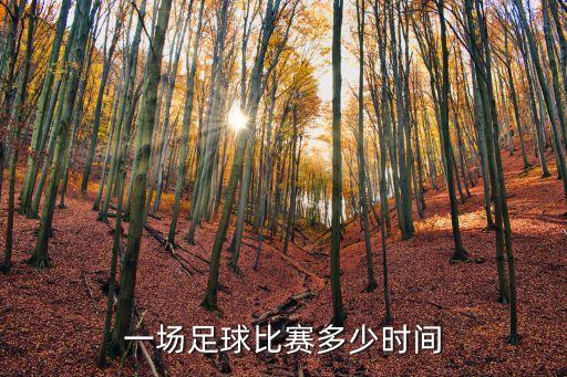 上海市第四屆市直機關五人制足球賽決賽，為什么上港申花出戰(zhàn)足協(xié)杯決賽輸不起