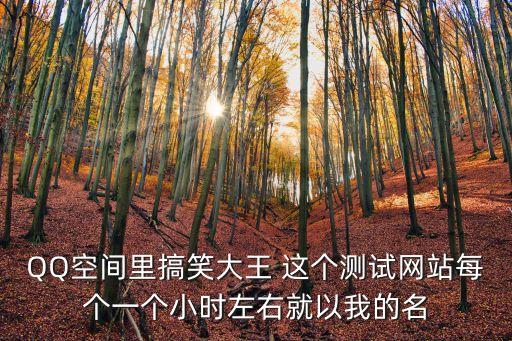 搞笑大王，QQ空間里搞笑大王 這個測試網(wǎng)站每個一個小時左右就以我的名
