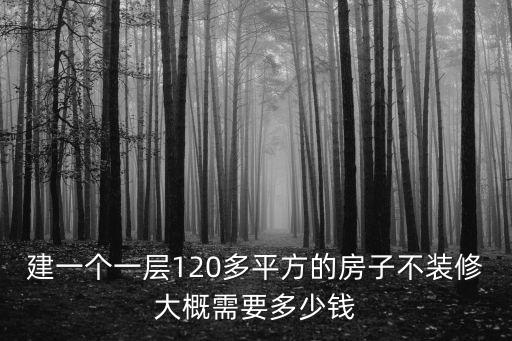 建一個一層120多平方的房子不裝修大概需要多少錢
