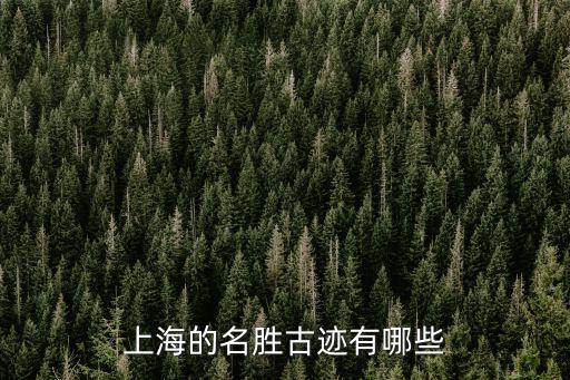 上海市區(qū)遺址，上海的名勝古跡有哪些